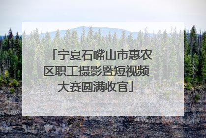 宁夏石嘴山市惠农区职工摄影暨短视频大赛圆满收官
