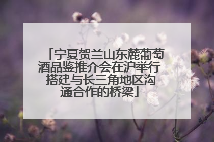 宁夏贺兰山东麓葡萄酒品鉴推介会在沪举行 搭建与长三角地区沟通合作的桥梁