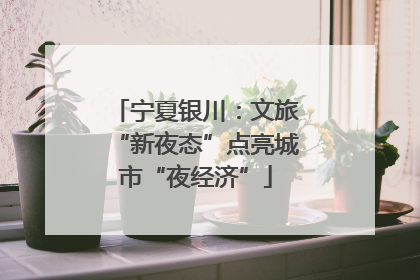 宁夏银川：文旅“新夜态”点亮城市“夜经济”