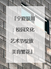 宁夏银川：校园文化艺术节绽放美育繁花