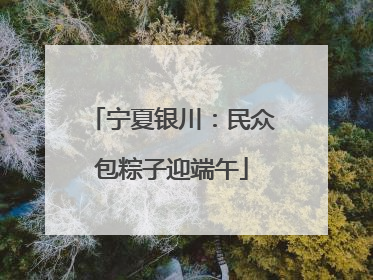 宁夏银川：民众包粽子迎端午