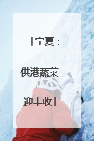 宁夏：供港蔬菜迎丰收