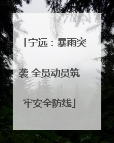 宁远：暴雨突袭 全员动员筑牢安全防线