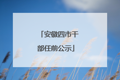 安徽四市干部任前公示