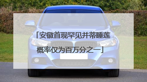 安徽首现罕见并蒂睡莲 概率仅为百万分之一