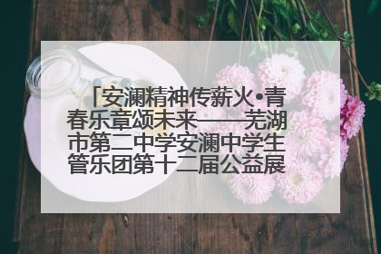 安澜精神传薪火•青春乐章颂未来——芜湖市第二中学安澜中学生管乐团第十二届公益展演圆满举行