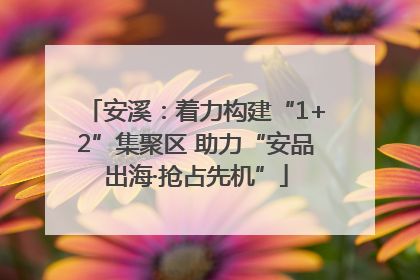 安溪：着力构建“1+2”集聚区 助力“安品出海·抢占先机”