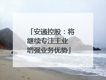 安通控股：将继续专注主业 增强业务优势