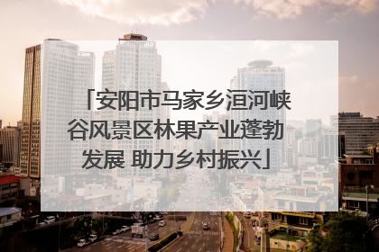 安阳市马家乡洹河峡谷风景区林果产业蓬勃发展 助力乡村振兴