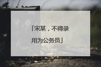 宋某，不得录用为公务员