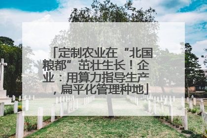 定制农业在“北国粮都”茁壮生长！企业：用算力指导生产，扁平化管理种地