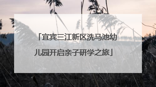 宜宾三江新区洗马池幼儿园开启亲子研学之旅