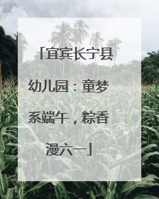 宜宾长宁县幼儿园：童梦系端午，粽香漫六一