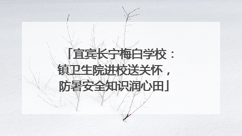宜宾长宁梅白学校：镇卫生院进校送关怀，防暑安全知识润心田