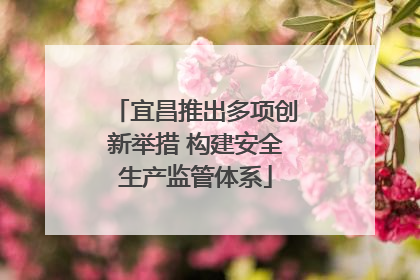 宜昌推出多项创新举措 构建安全生产监管体系