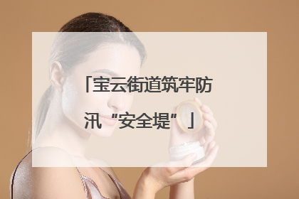 宝云街道筑牢防汛“安全堤”
