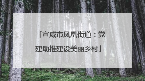 宣威市凤凰街道：党建助推建设美丽乡村
