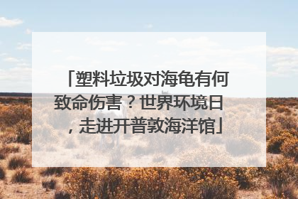 塑料垃圾对海龟有何致命伤害？世界环境日，走进开普敦海洋馆