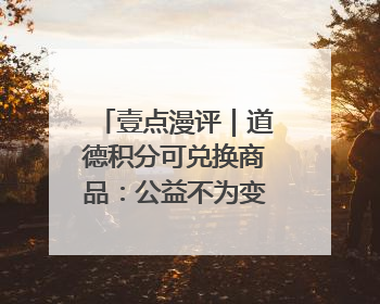 壹点漫评｜道德积分可兑换商品：公益不为变现，但需要更多鼓励
