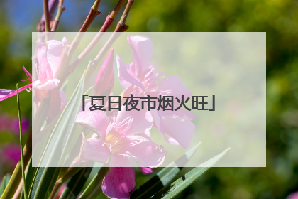 夏日夜市烟火旺
