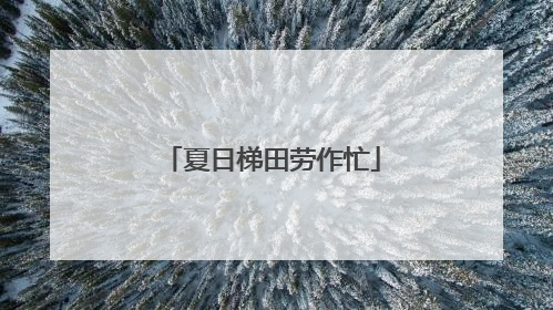 夏日梯田劳作忙