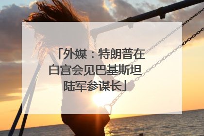 外媒：特朗普在白宫会见巴基斯坦陆军参谋长