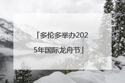 多伦多举办2025年国际龙舟节