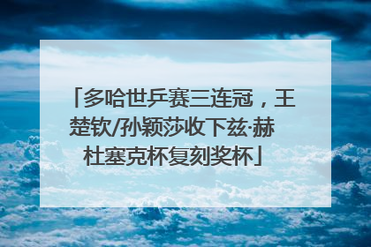 多哈世乒赛三连冠，王楚钦/孙颖莎收下兹·赫杜塞克杯复刻奖杯