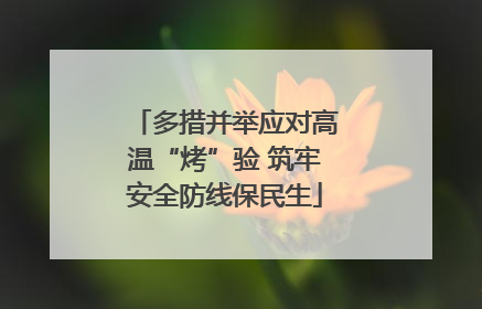 多措并举应对高温“烤”验 筑牢安全防线保民生