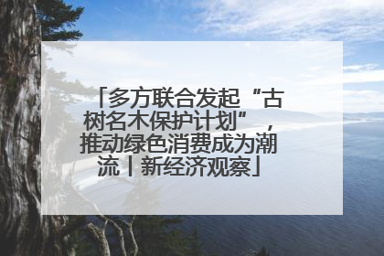 多方联合发起“古树名木保护计划”，推动绿色消费成为潮流丨新经济观察