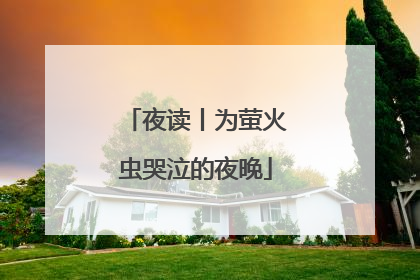 夜读丨为萤火虫哭泣的夜晚