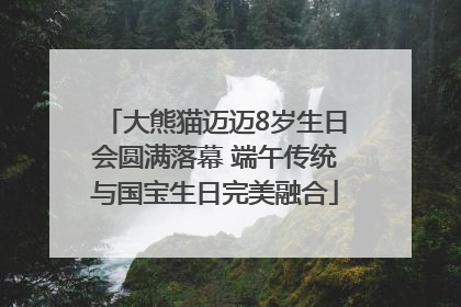 大熊猫迈迈8岁生日会圆满落幕 端午传统与国宝生日完美融合