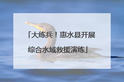 大练兵！惠水县开展综合水域救援演练