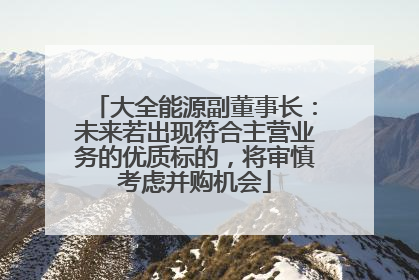 大全能源副董事长：未来若出现符合主营业务的优质标的，将审慎考虑并购机会
