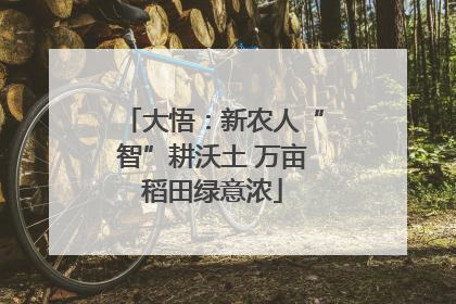 大悟：新农人“智”耕沃土 万亩稻田绿意浓