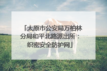 太原市公安局万柏林分局和平北路派出所：织密安全防护网