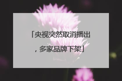 央视突然取消播出，多家品牌下架