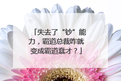 失去了“钞”能力，霸道总裁咋就变成霸道蠢才？