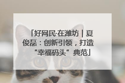 好网民·在潍坊｜夏俊磊：创新引领，打造“幸福码头”典范