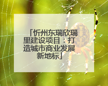 忻州东瑞欣瑞里建设项目：打造城市商业发展新地标