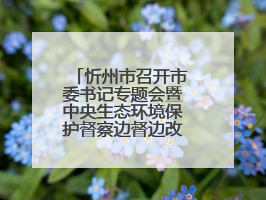忻州市召开市委书记专题会暨中央生态环境保护督察边督边改工作推进会