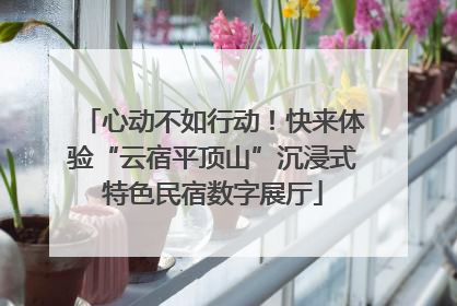 心动不如行动！快来体验“云宿平顶山”沉浸式特色民宿数字展厅