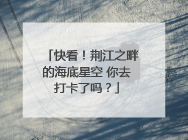 快看！荆江之畔的海底星空 你去打卡了吗？
