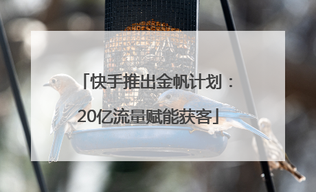 快手推出金帆计划：20亿流量赋能获客
