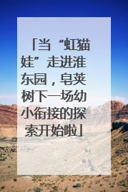 当“虹猫娃”走进淮东园，皂荚树下一场幼小衔接的探索开始啦