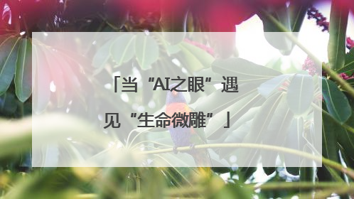 当“AI之眼”遇见“生命微雕”