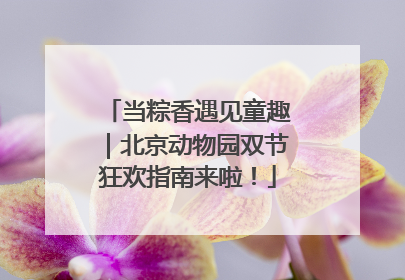 当粽香遇见童趣｜北京动物园双节狂欢指南来啦！