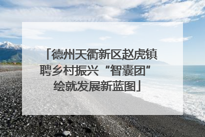 德州天衢新区赵虎镇聘乡村振兴“智囊团” 绘就发展新蓝图