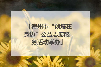 德州市“创培在身边”公益志愿服务活动举办