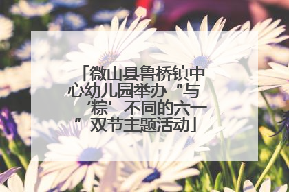 微山县鲁桥镇中心幼儿园举办“与‘粽’不同的六一”双节主题活动
